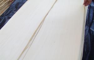 Quality Basswood Natural Rotary Cut Veneer MDF For Plywood wholesale