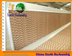 Quality Huabo automatic poultry equipment in qingdao wholesale