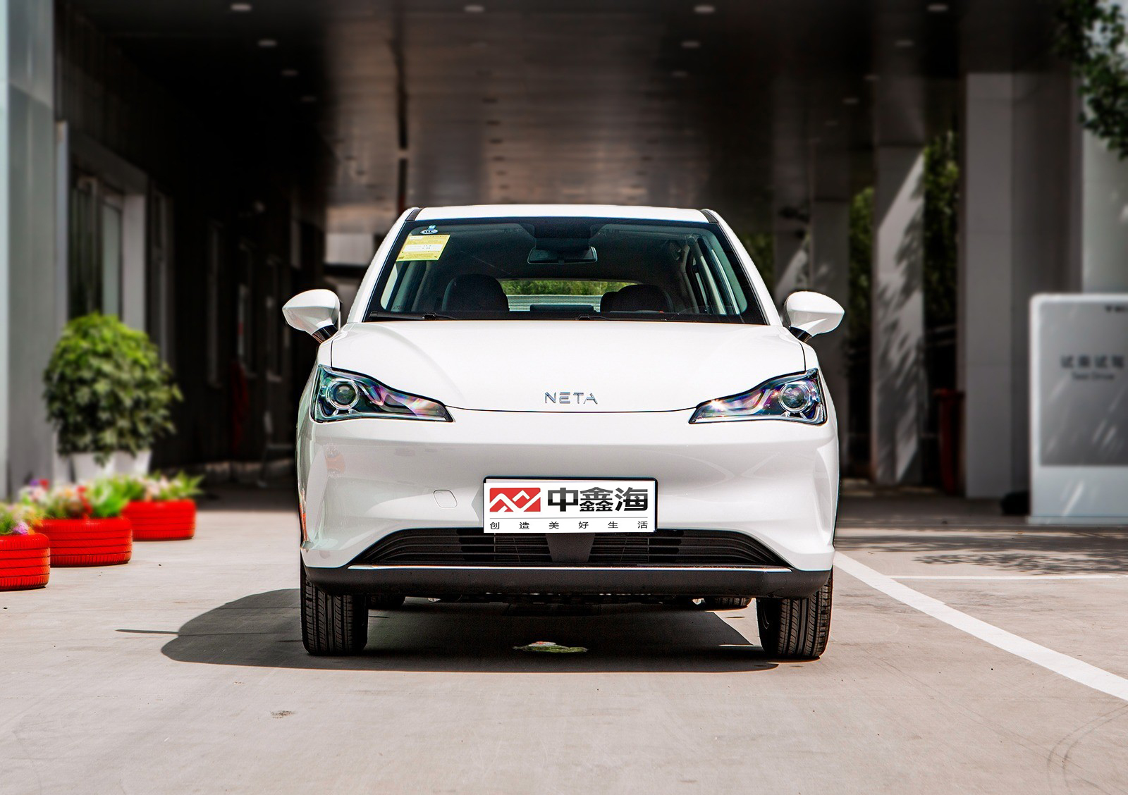 New Suv Car Electric Vehicles 5 Seater Electric Cars For Adult Nezha V 2022 Trendy 400 Lite Pink Custom