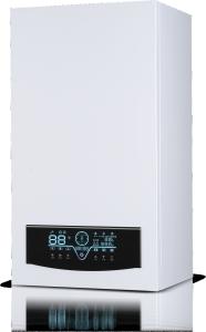 Quality 6L Expansion Tank 20KW Wall Hung Gas Boiler For Bathroom wholesale