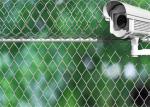 Colorful 9 Gauge 4mm Wire Chain Mesh Fencing