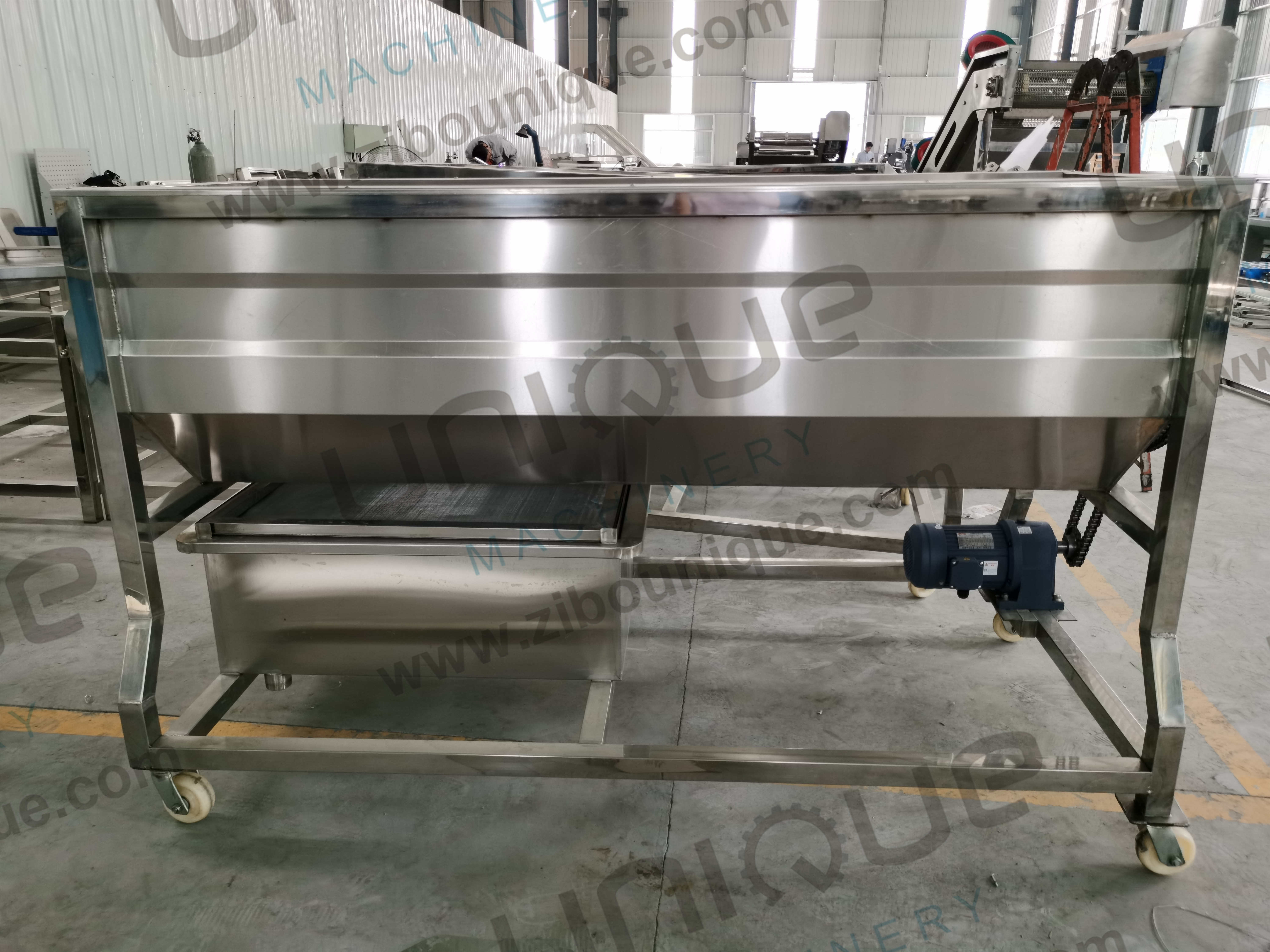 Commercial Usage Automatic Palm Dates Brush Cleaning Machine with Soft Brush Cleaner