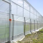 Large Size Multi-span Arch Plastic Film Greenhouse Hot Dip Galvanized Steel