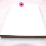 Eco Friendly Matte White 0.35mm PET Laminated MDF Panels