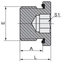 Quality BSPT Male Connection Hydraulic Tube Fitting with Captive Seal Hollow Hex Plug 4bn-Wd wholesale