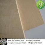 Birch plywood