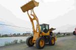 Mini Shovel 2.5 Ton Wheel Loader Yun Nei 4102 Supercharged 3500mm