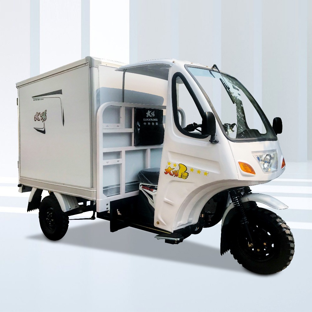 Three Wheel Refrigerator Cargo Tricycle with Iron Cabin and Hydraulic Rear Brake