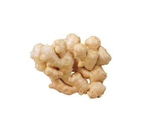 Quality Pure White Flaovr Fresh Natural Garlic BRC 400Gx10/4KG wholesale