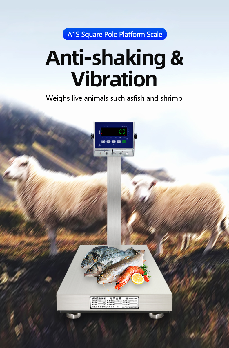 Power Supply 10.5V/1A 200KG Stainless Steel Scale for Seafood and Food Factories