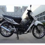 Chain Drive Transmission 110CC Cub Sport Motorcycle Full Gas Motorcycles OEM