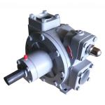 Electric Motor-Powered Standard Propane Vane Pump for Standard Fuel Transfer