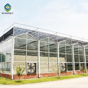 Quality Stable Hot Galvanized Steel Venlo Glass Greenhouse 3.0mm Thickness wholesale