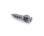 Titanium Alloy Orthodontic Micro Screws Dental Orthodontic Microimplants