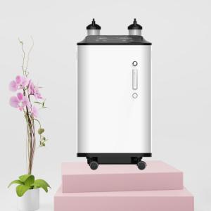 Quality 1l 5l 10l Household Oxygen Generator Medical Home Care Physical Therapy wholesale