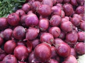 Quality Metabolism Enhancing Fresh 6cm Restaurant Red Onion wholesale