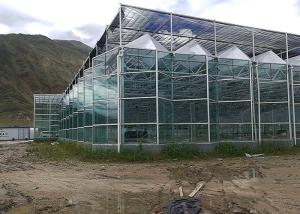 Quality Smart Glass Greenhouse , Agriculture Vegetables Hydroponic Greenhouse wholesale