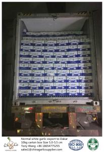 Quality Garlic to Senegal wholesale