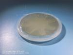 Dummy Research 2 Inch 6H-Semi Silicon Carbide Wafer