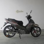 7500RPM CDI Ignition TR135-NF 135CC Cub Motorcycle