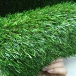Natural Fitness Green Plastic Turf Grass Mat For Gym Flooring Long Lasting