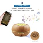 Capacity＞200ml Private Mold Ultrasonic Essential Oil Bluetoooh Aroma Diffuser