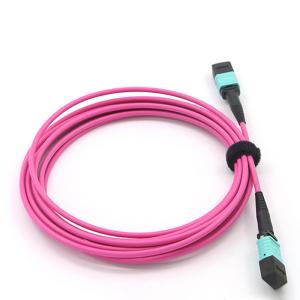 Quality Multimode OM4 Magenta Mpo Optical Cable 2m 850nm 12 Core wholesale
