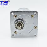 OD60mm RS775 12V DC Motor 100kg 10nm Brushed DC Gear Motor