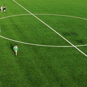 Quality Safe Realistic Artificial Grass For Football Ground Stadium Sintetico wholesale