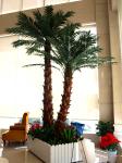 Washington Coconut Artificial Landscape Trees Hotel Restaurant Anti UV Long