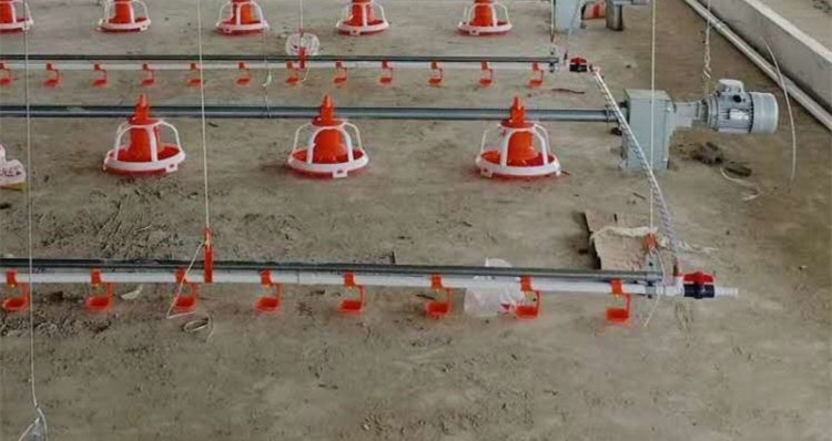 Dia 45mm Galvanized Chicken Nipple Drinker System