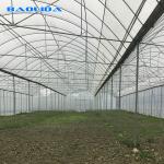 Agricultural Commercial Industrial Plastic Film Tomato Grow System 150 Micro