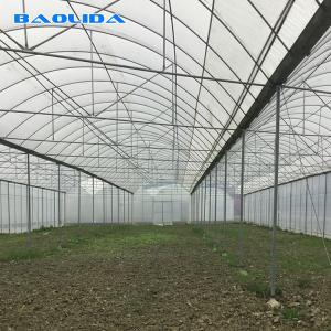 Quality Large Size Plastic Film Greenhouse / Agriculture Greenhouse 20m - 100m Long wholesale