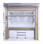 Phenolic Resin Modern Laboratory Furniture 3ft 4ft 5ft 6ft Laboratory Fume Hood