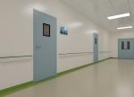 50mm Handmade Plate Stainless Steel Clean Room Doors Custom