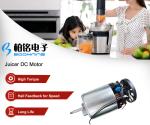 High Torque Slow Juicer DC Motor
