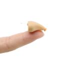 30dB CIC Rechargeable Hearing Aids FDA BTE Digital Hearing Amplifier