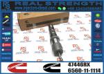 Fuel Injector 4928345 4001830 47446RX 4010029 For Cummins