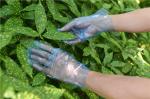 Latex Protein Free Disposable TPE Gloves 28*22CM For Food Handling