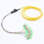12 Colors ST Ribbon Fan Out Single Mode Fiber Pigtails