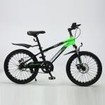 Customized Logo 20 Inch Mountain Bicycle MTB Custom Mountain Bike With Alloy Rim