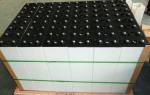 Screw Connection Electric Forklift Battery Replacement 198mm Width 5PzS750