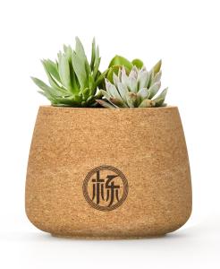 Quality OEM FDA Reusable Cork Plant Pots Holder Flower Succulents Biodegradable wholesale