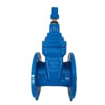DN50 Rubber Resilient Seated Gate Valve Flanged End