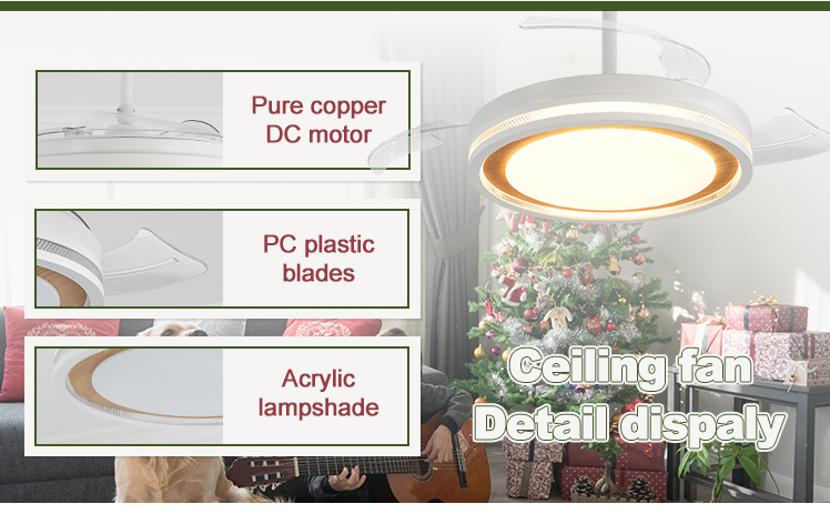 Standard Wind Mordern Style LED Ceiling Fan with Hidden Blades and PC Blades in White
