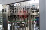 10000BPH CSD Bottling PET Carbonated Drink Filling Machine , Soft Drink