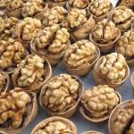 Wholesale Walnut Inshell Fresh Delicious Nutrition Kernel Food Dried Walnuts