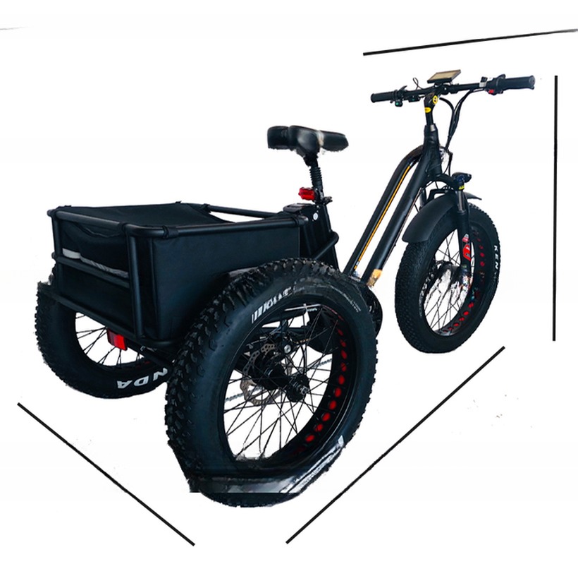 Max Speed 50km/h 8Fun 750W Front Motor 4.0 Fat Tire Cargo Electric Trike Tricycle 3 Wheels