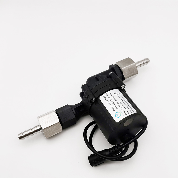 12l Mi 10l Min Dc 12v Brushless Water Pump With Constant Flow Controlling