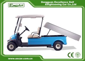 Quality 48V 3.7KW 2 Seater Electric Golf Carts Taly Axle / Hotel Buggy Car wholesale
